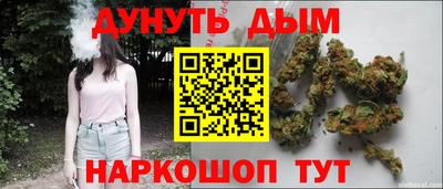стафф Краснодар