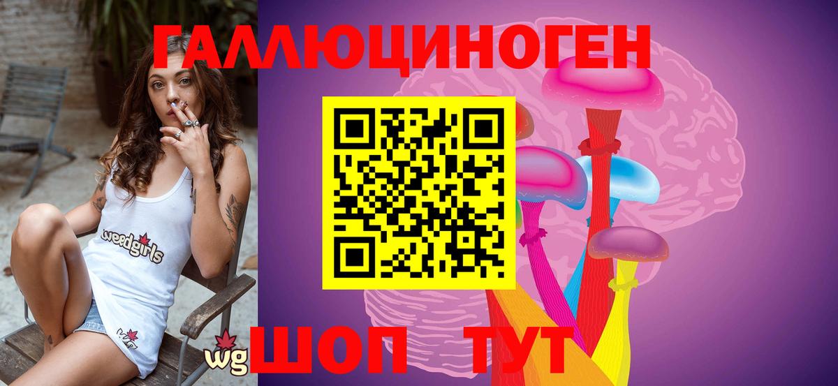 Красногорск  Псилоцибиновые грибы мухоморы  Вход с VPN 